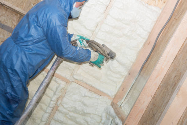 Best Spray Foam Insulation  in Citrus Park, AZ